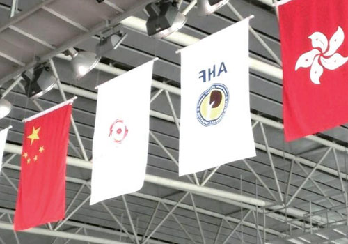 Storskaliga sportevenemang och aktiviteter